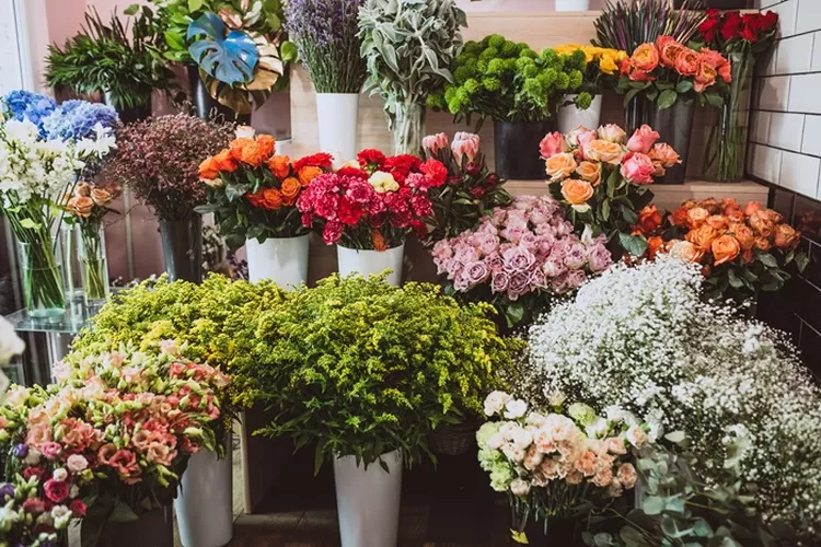 flowers-floral-shop-different-types-2110135652